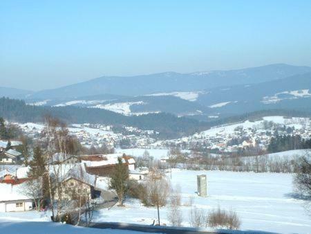 Haus Bergblick Bay. Wald Lägenhet Prackenbach Exteriör bild