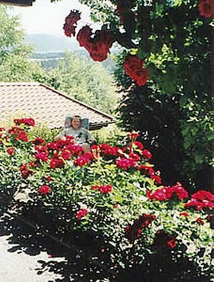 Haus Bergblick Bay. Wald Lägenhet Prackenbach Exteriör bild