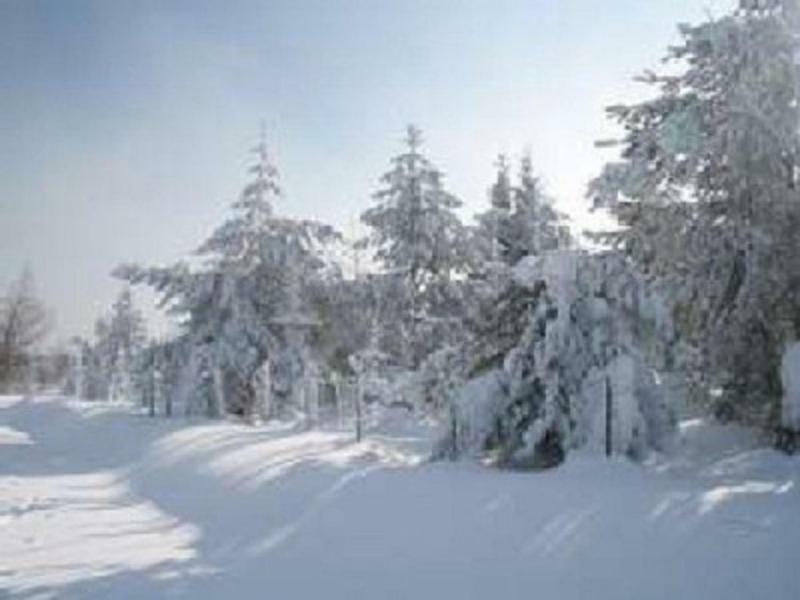 Haus Bergblick Bay. Wald Lägenhet Prackenbach Exteriör bild