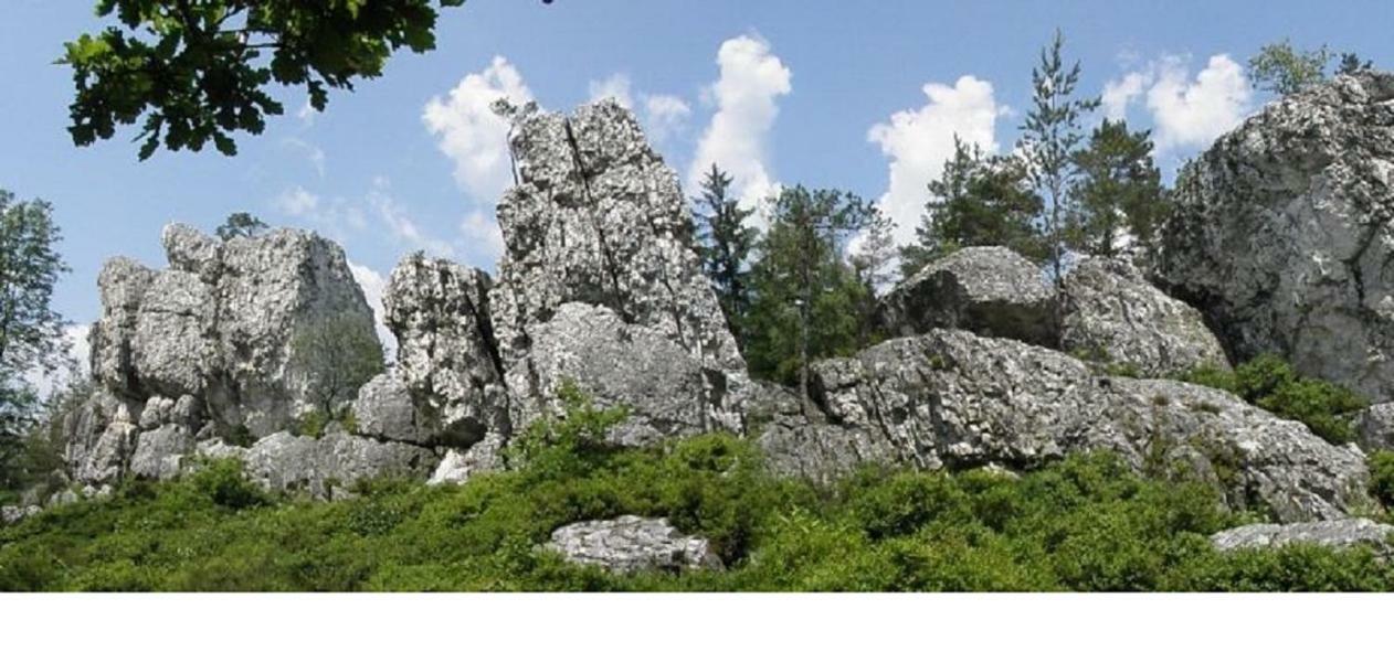Haus Bergblick Bay. Wald Lägenhet Prackenbach Exteriör bild